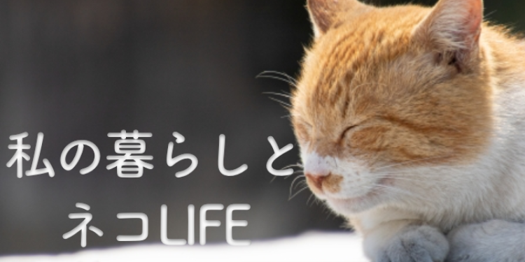 カワイイがいっぱい！ワンダーランド